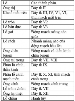 diemmunaobang1